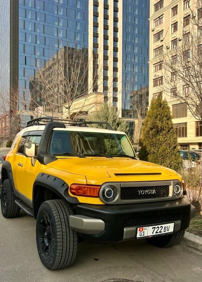 Toyota FJ-Cruiser 2009 — фото 2