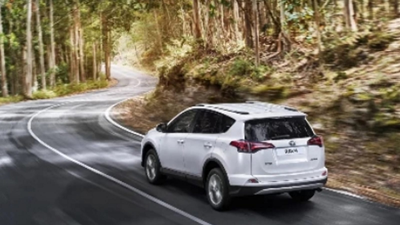 Toyota RAV4 2019 — фото 4