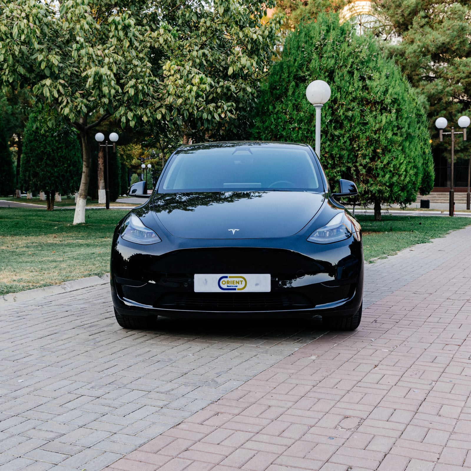 Tesla Model Y — фото 2