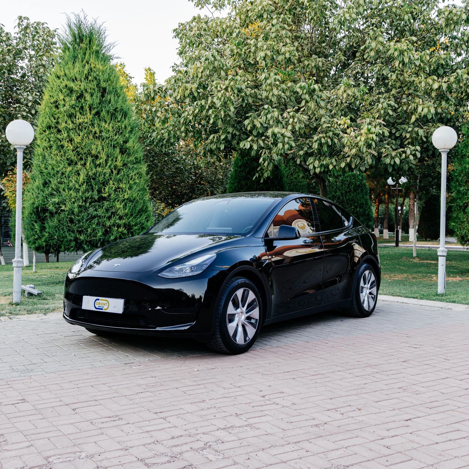 Tesla Model Y — фото 3
