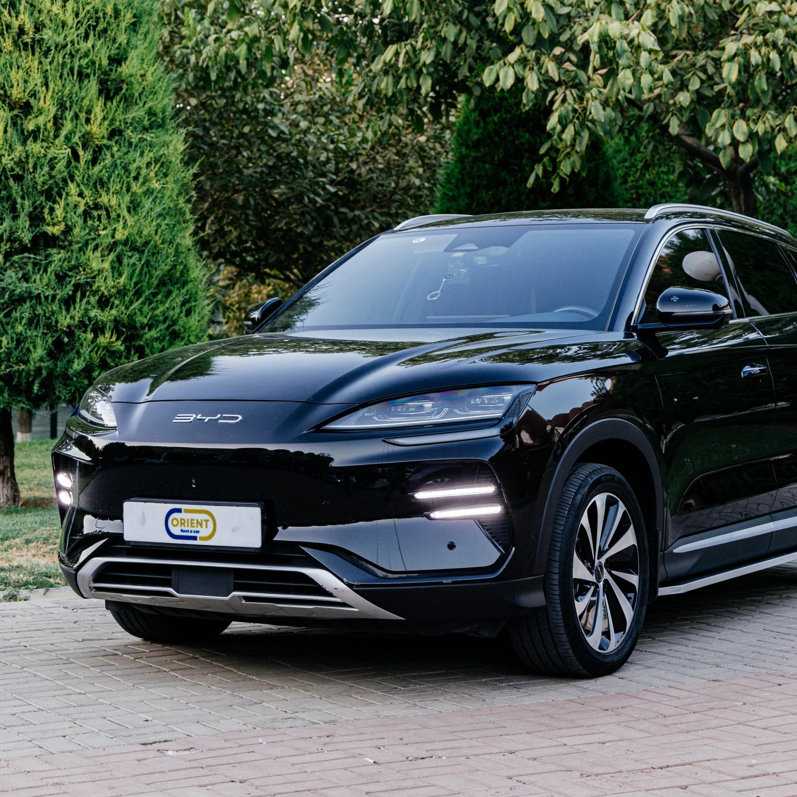 BYD Song Plus Champion — аренда от 1200000 сум/сутки