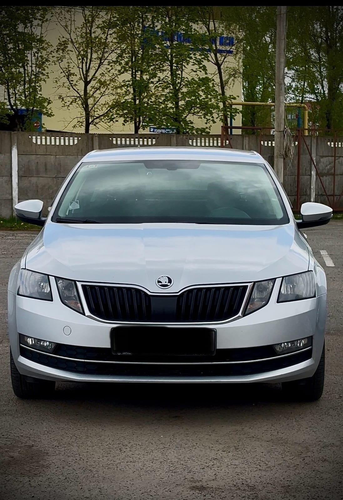 Skoda Octavia — аренда от 120 Br/сутки