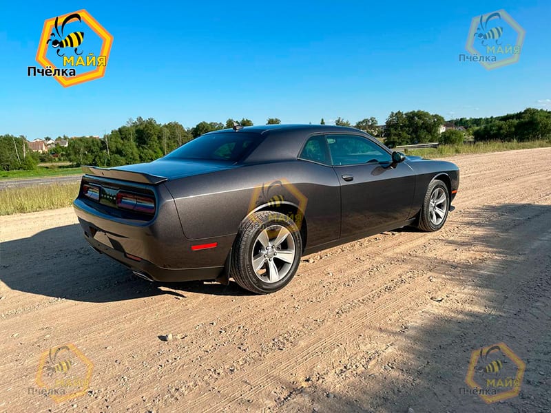 Dodge Challenger 2020 года в аренду в Минске