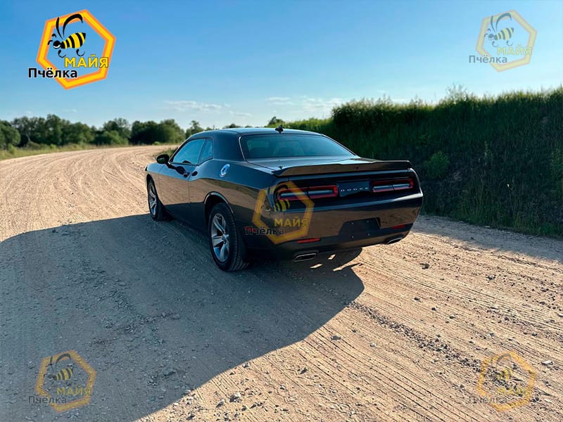 Dodge Challenger 2020 года в аренду в Минске