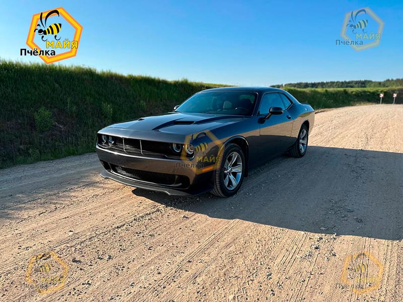 Dodge Challenger 2020 года в аренду в Минске