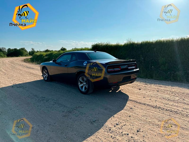 Dodge Challenger 2020 года в аренду в Минске
