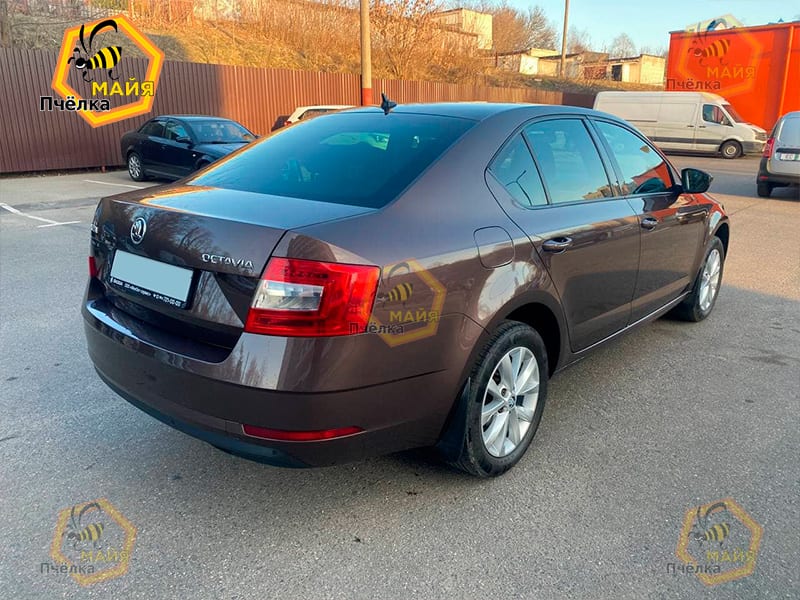 Skoda Octavia 2018 — аренда от 160 Br/сутки