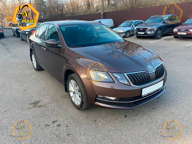 Skoda Octavia 2018 — фото 2
