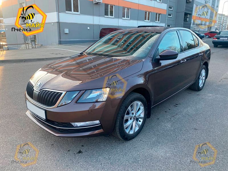 Skoda Octavia 2018 — фото 3
