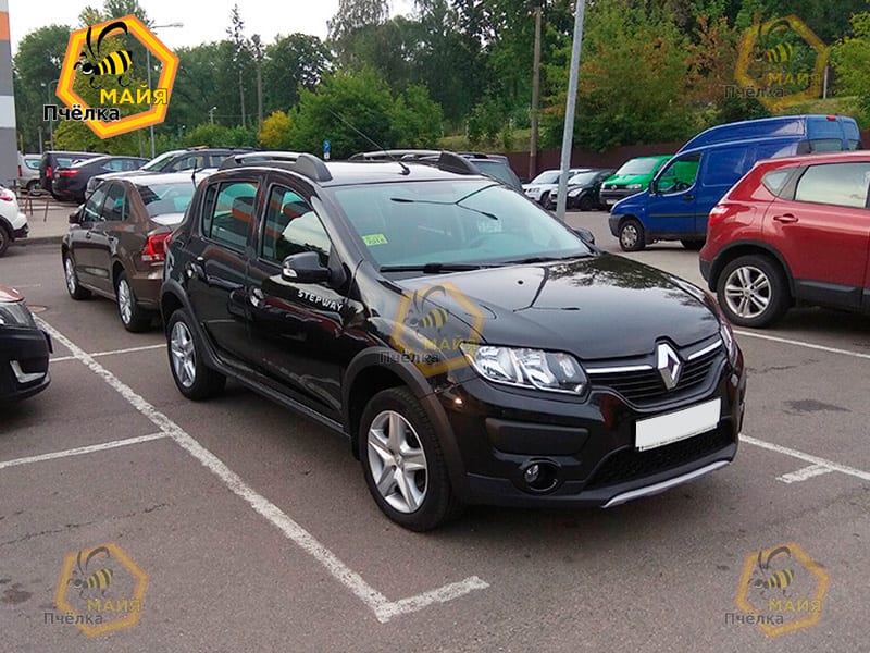 Renault Sandero Stepway 2017 — фото 2