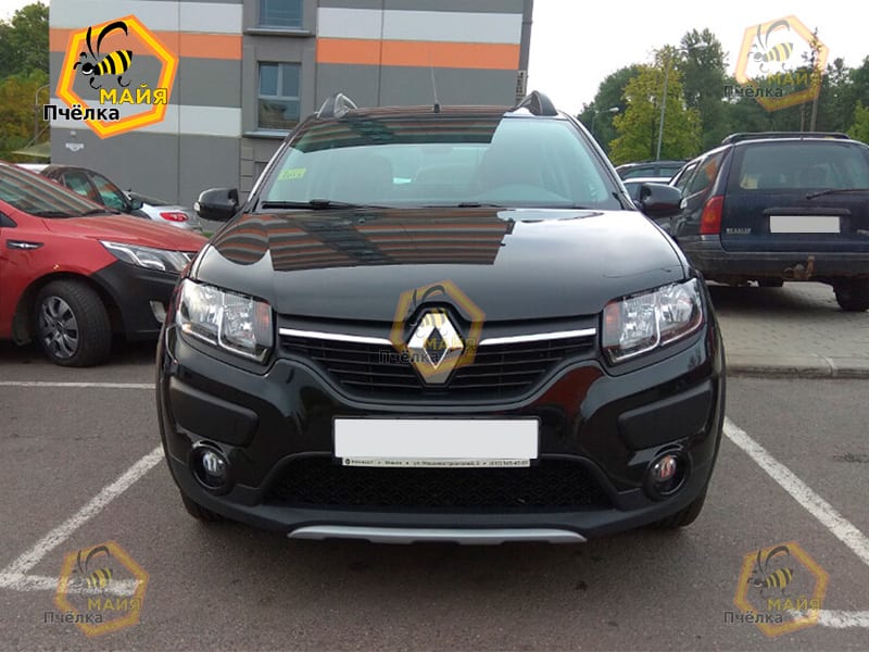 Renault Sandero Stepway 2017 — фото 3