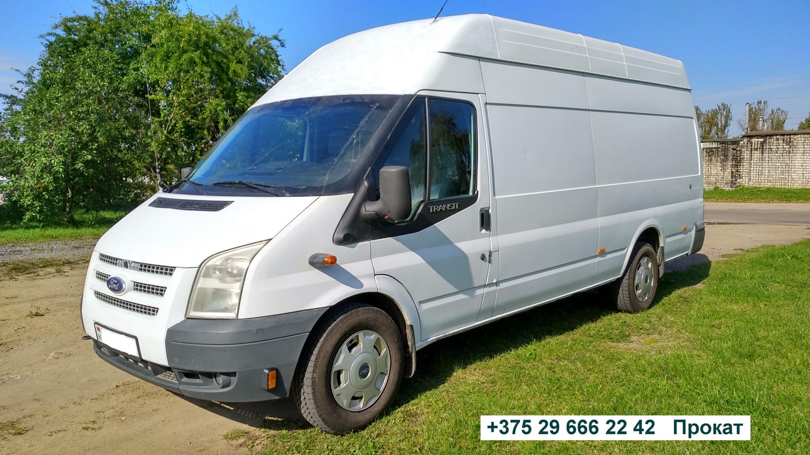 Ford Transit Maxi 2008 года в аренду в Минске