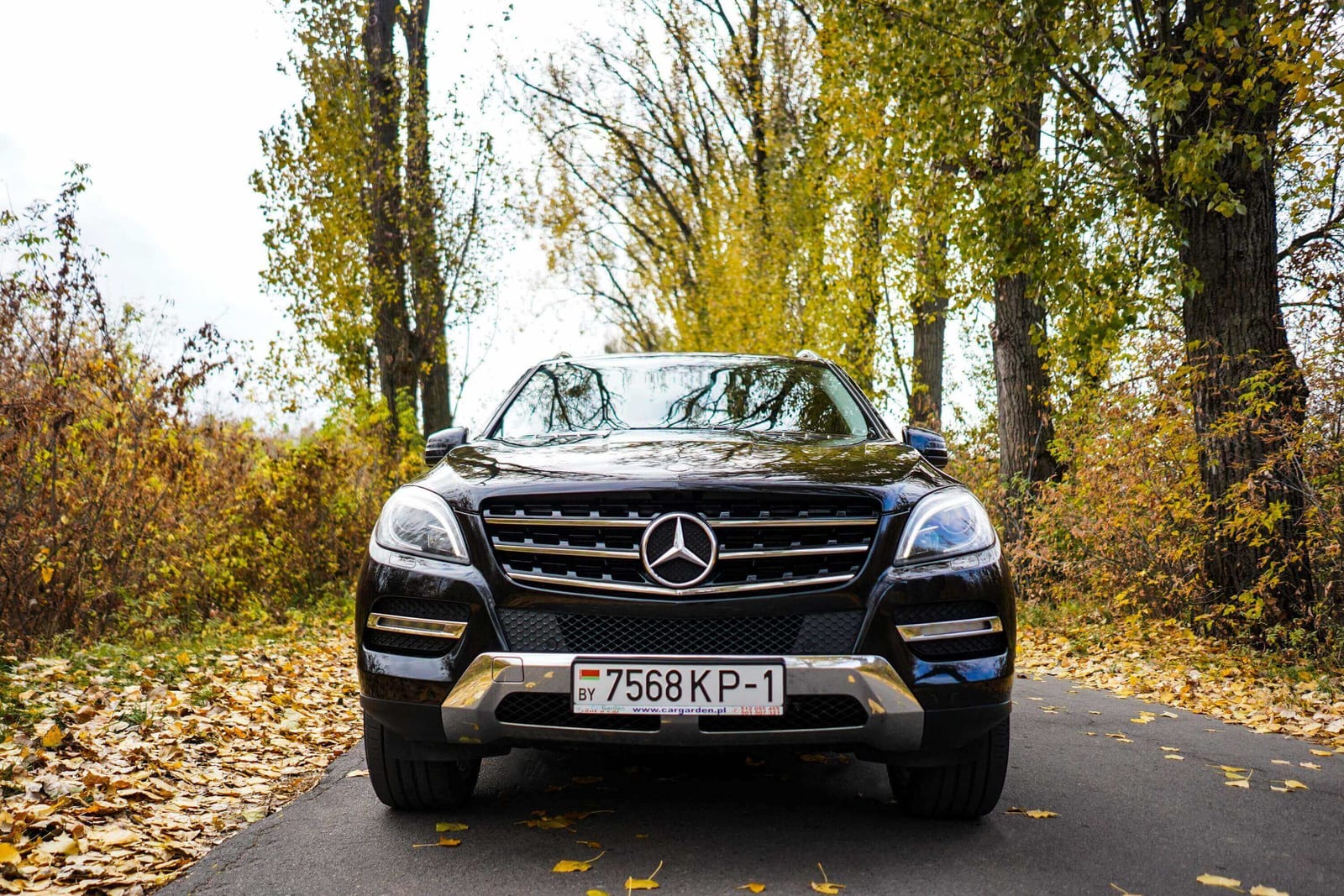 Mercedes-Benz ML350 2024 года в аренду в Бресте