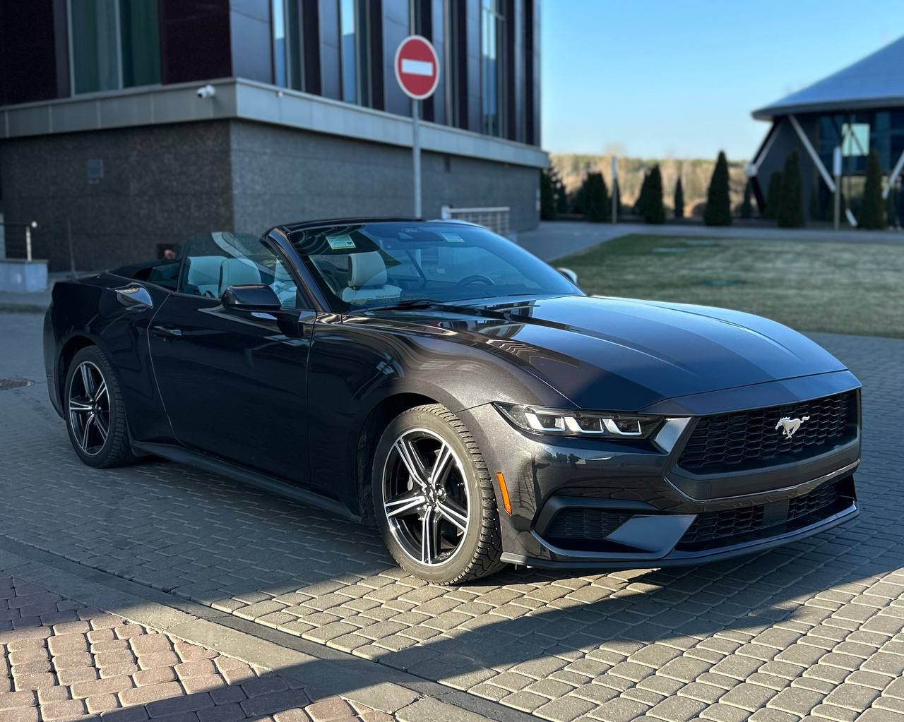 Ford Mustang в аренду в Минске