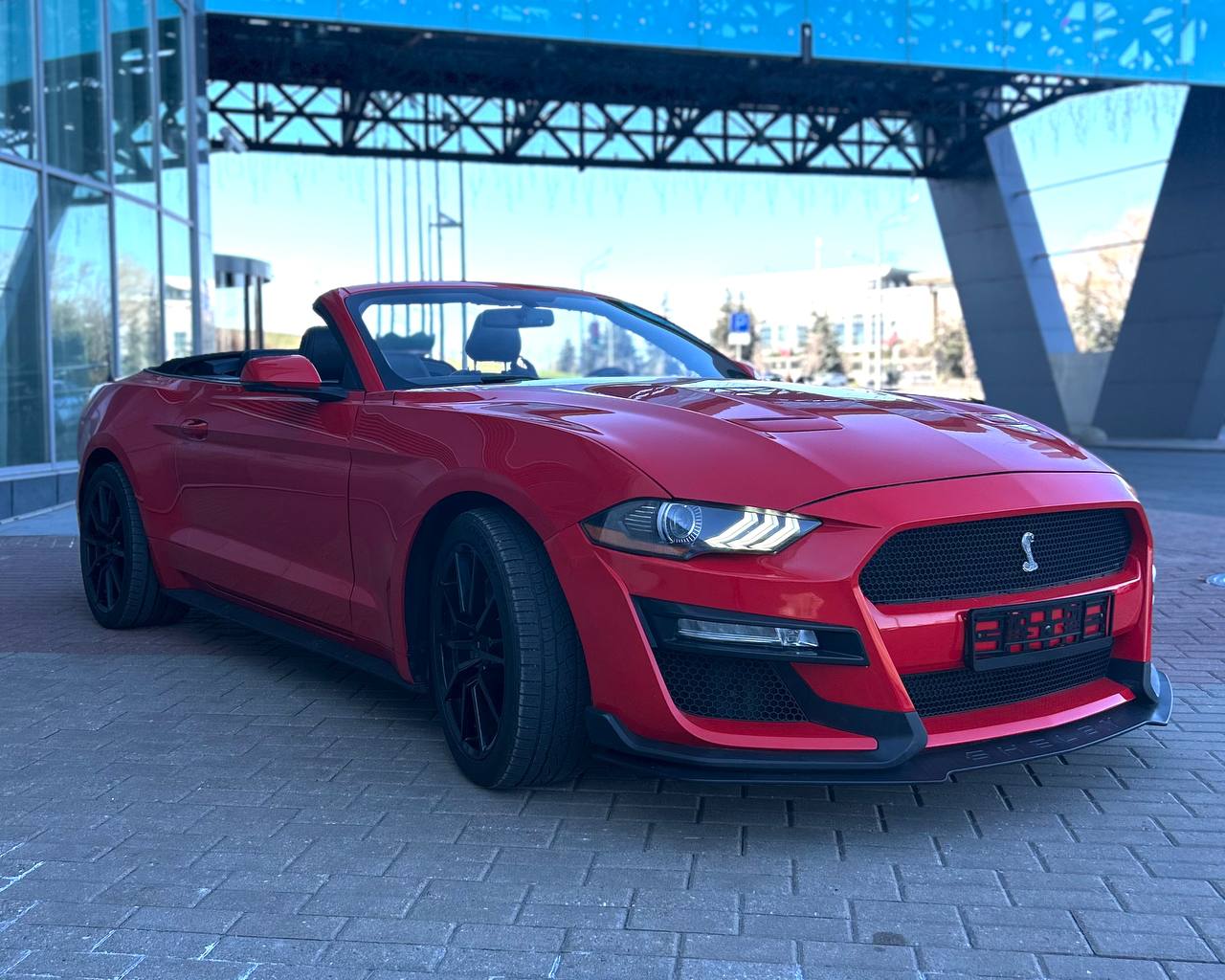 Ford Mustang Shelby Style в аренду в Минске