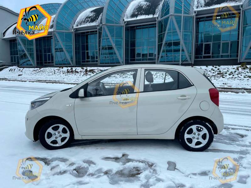 KIA Picanto 2019 года в аренду в Минске
