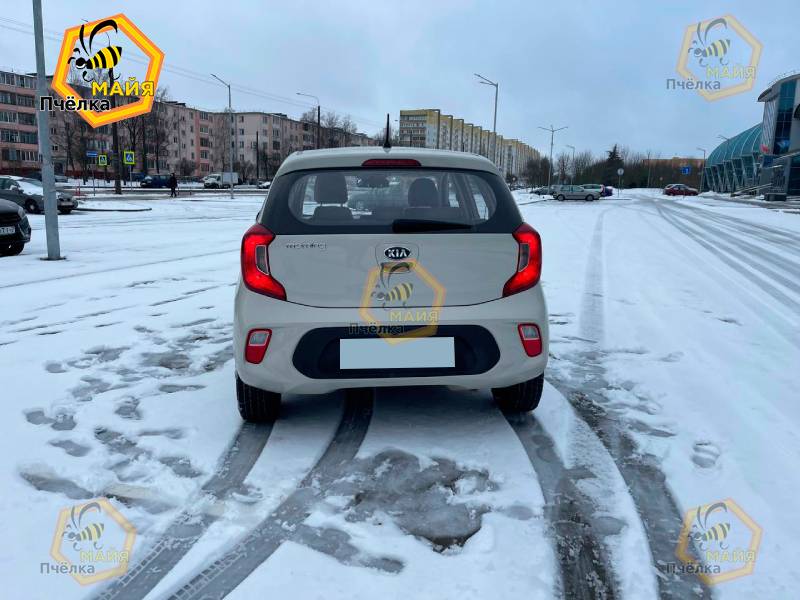 KIA Picanto 2019 года в аренду в Минске