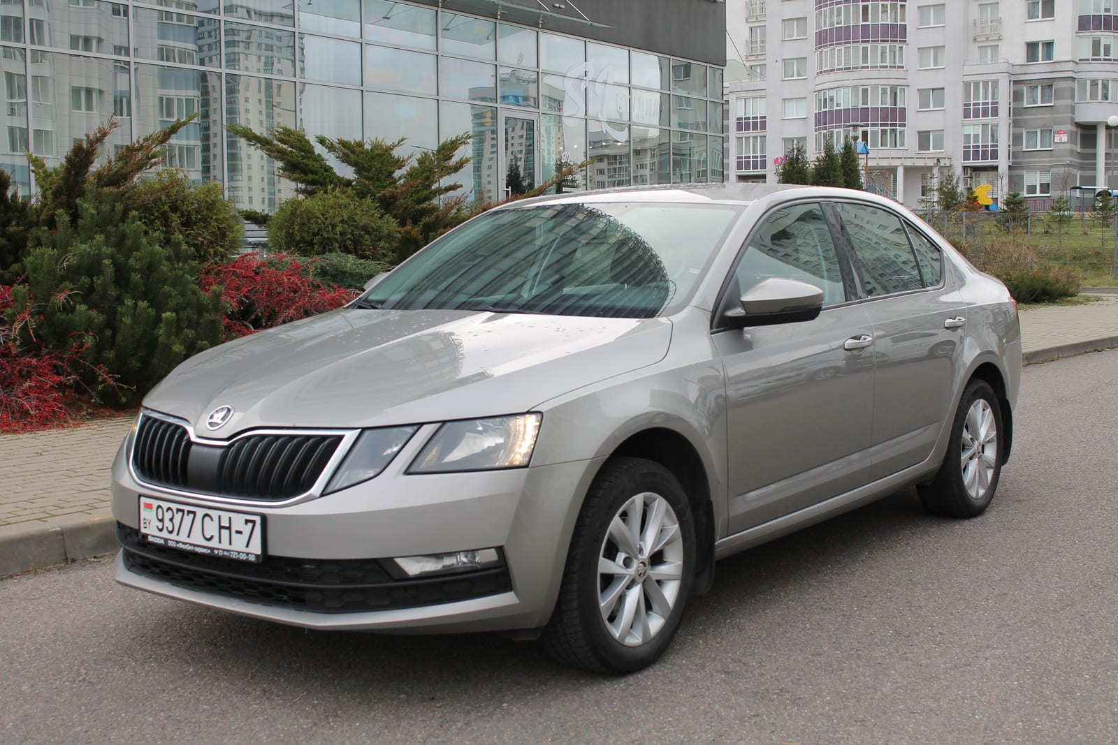 Skoda Octavia 2019 — аренда, от 150 Br/сутки