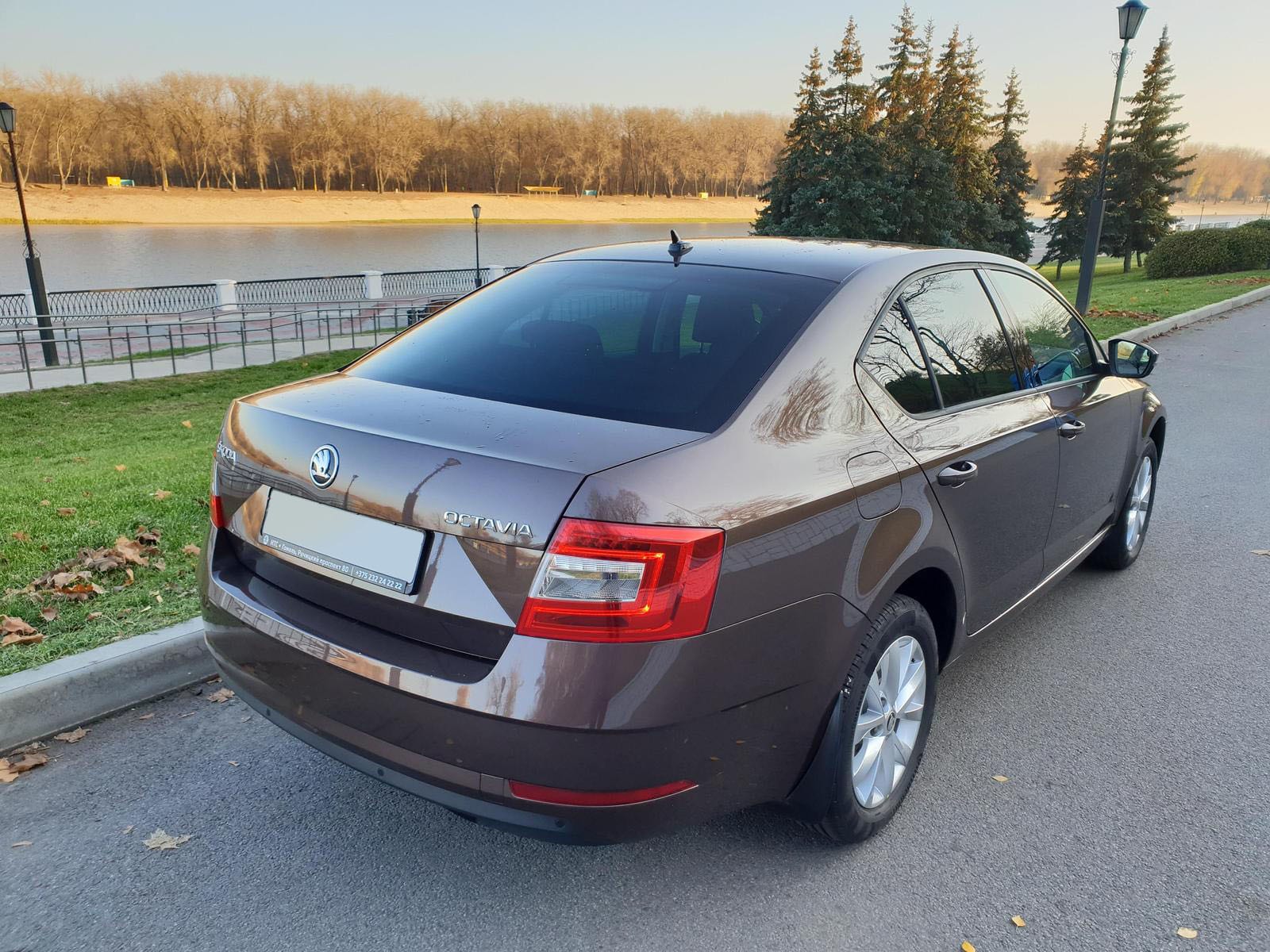 Škoda Octavia 2018 — фото 2