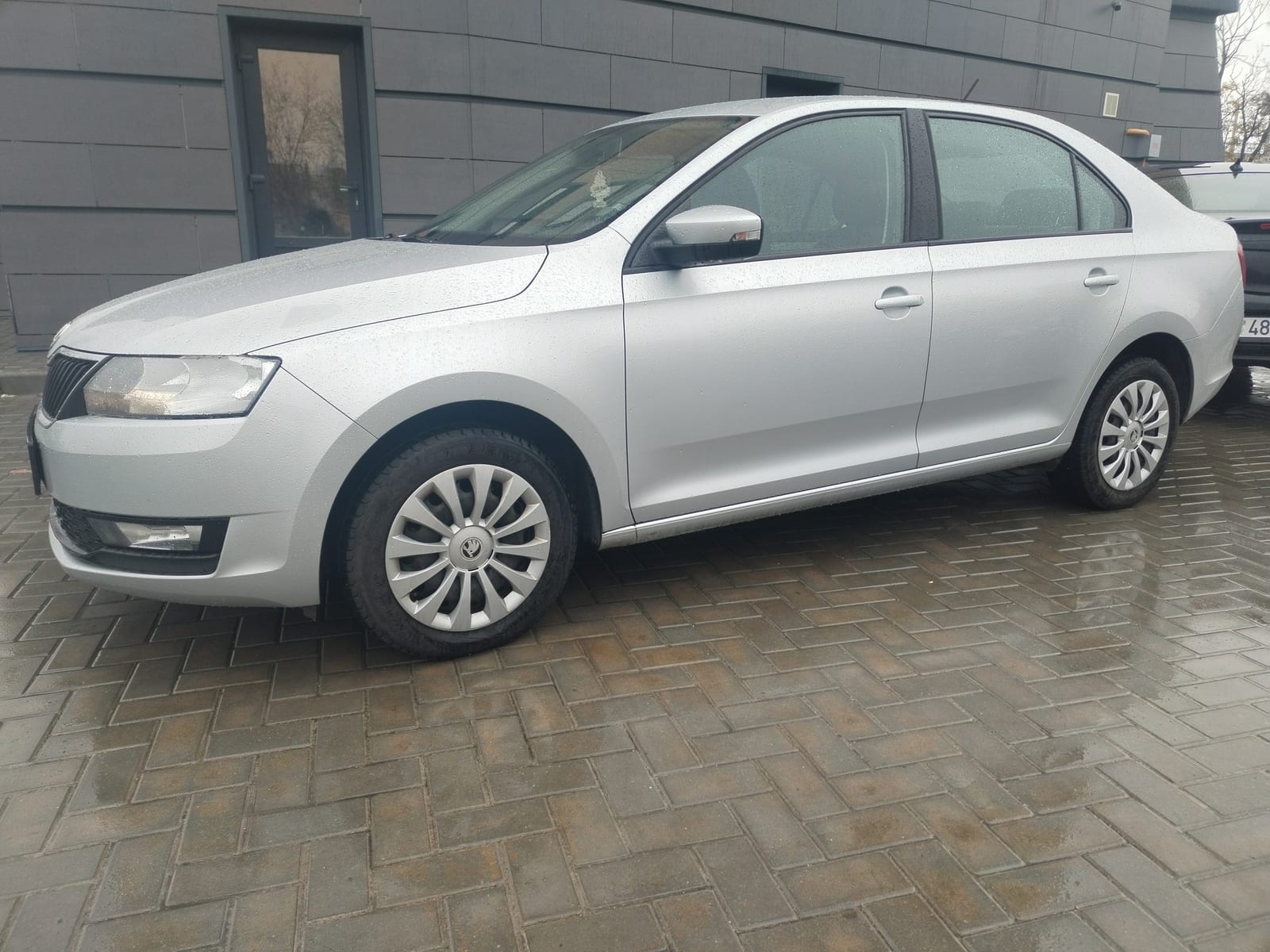 Skoda Rapid 2019 — аренда, от 65 Br/сутки