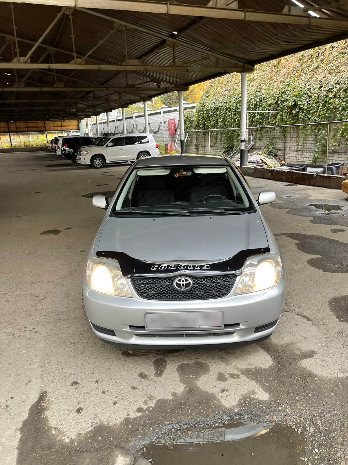 Toyota Corolla (E120) 2003 — аренда от 15000 Br/сутки