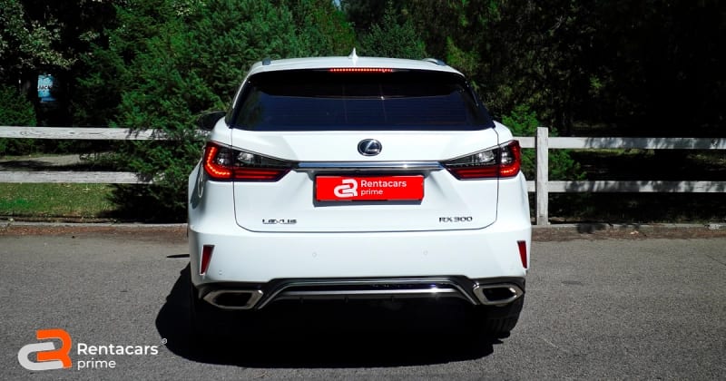 Lexus RX300 F Sport 2019 — фото 3