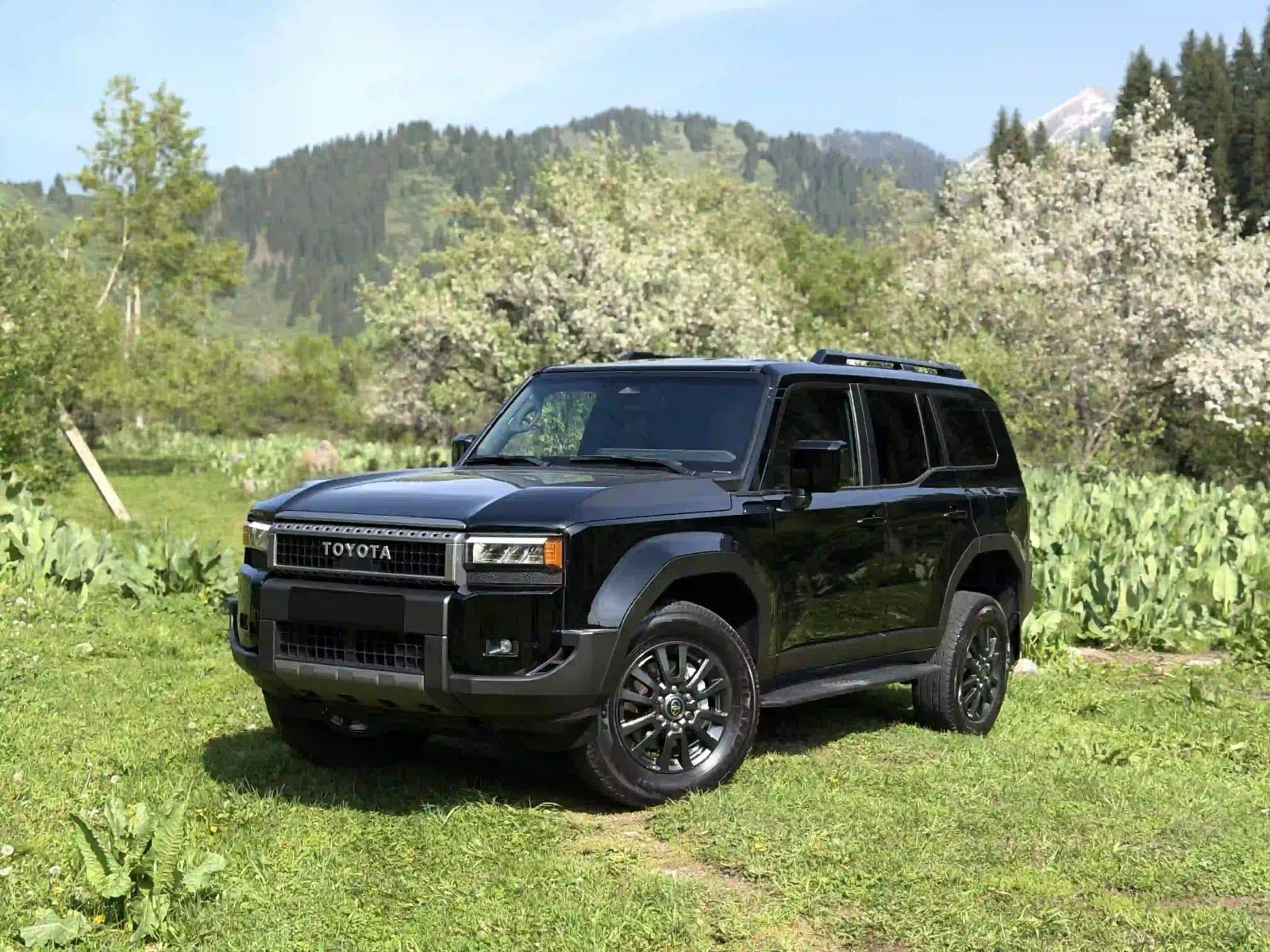 Toyota Land Cruiser 250 2024 — аренда от 75000 Br/сутки