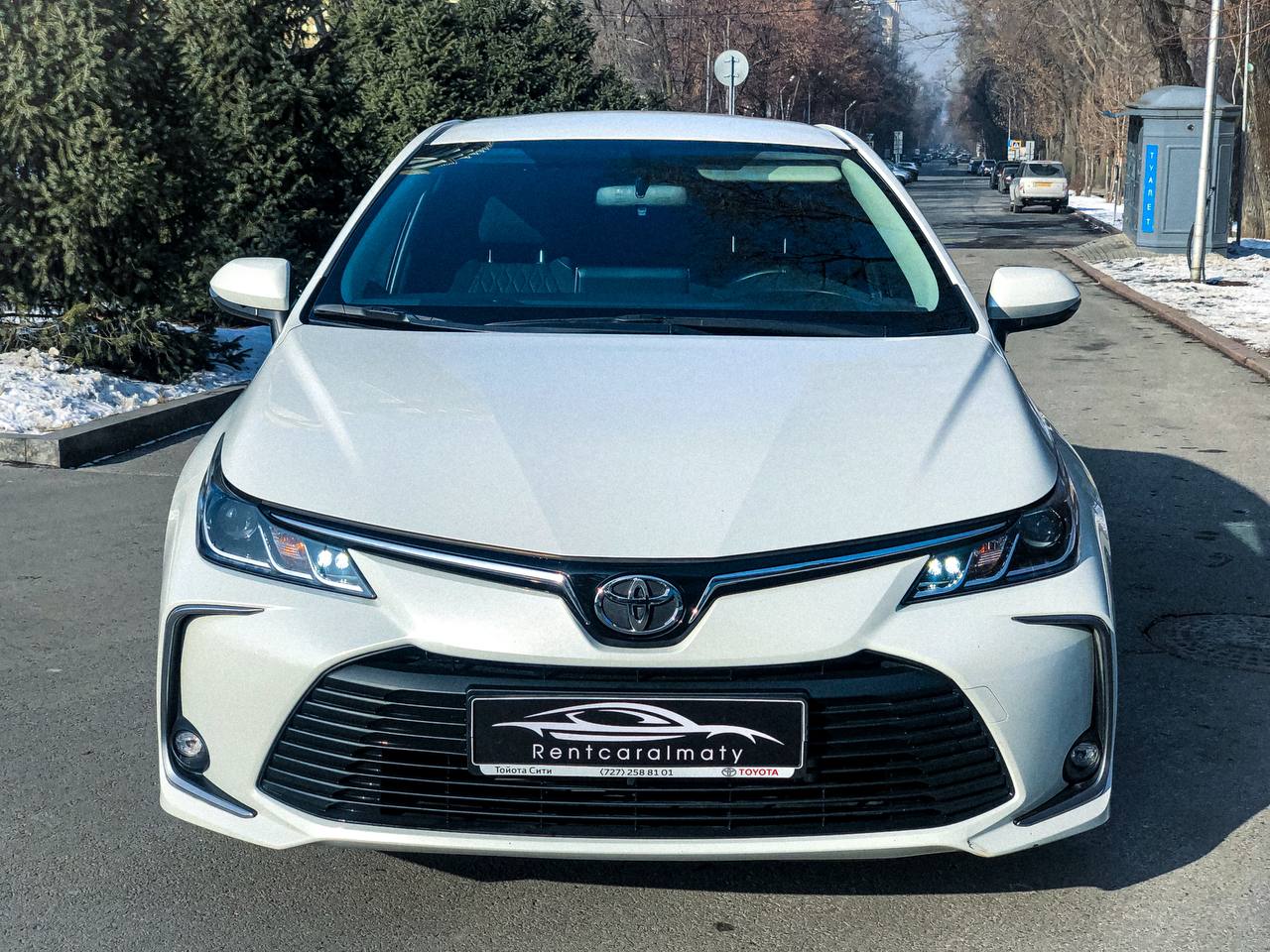 Toyota Corolla 2020 — фото 2