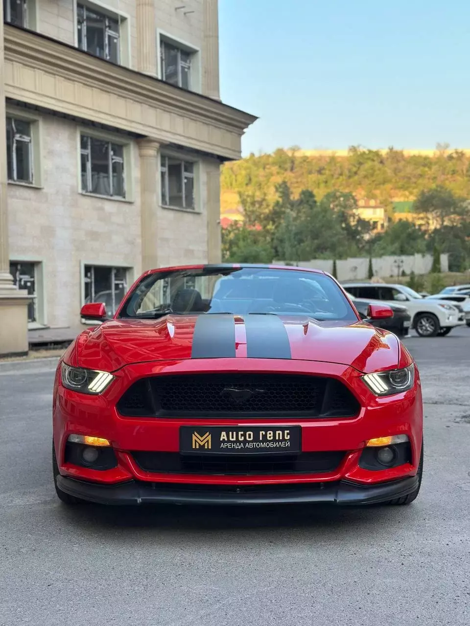 Ford Mustang Cabrio 2017 — фото 4