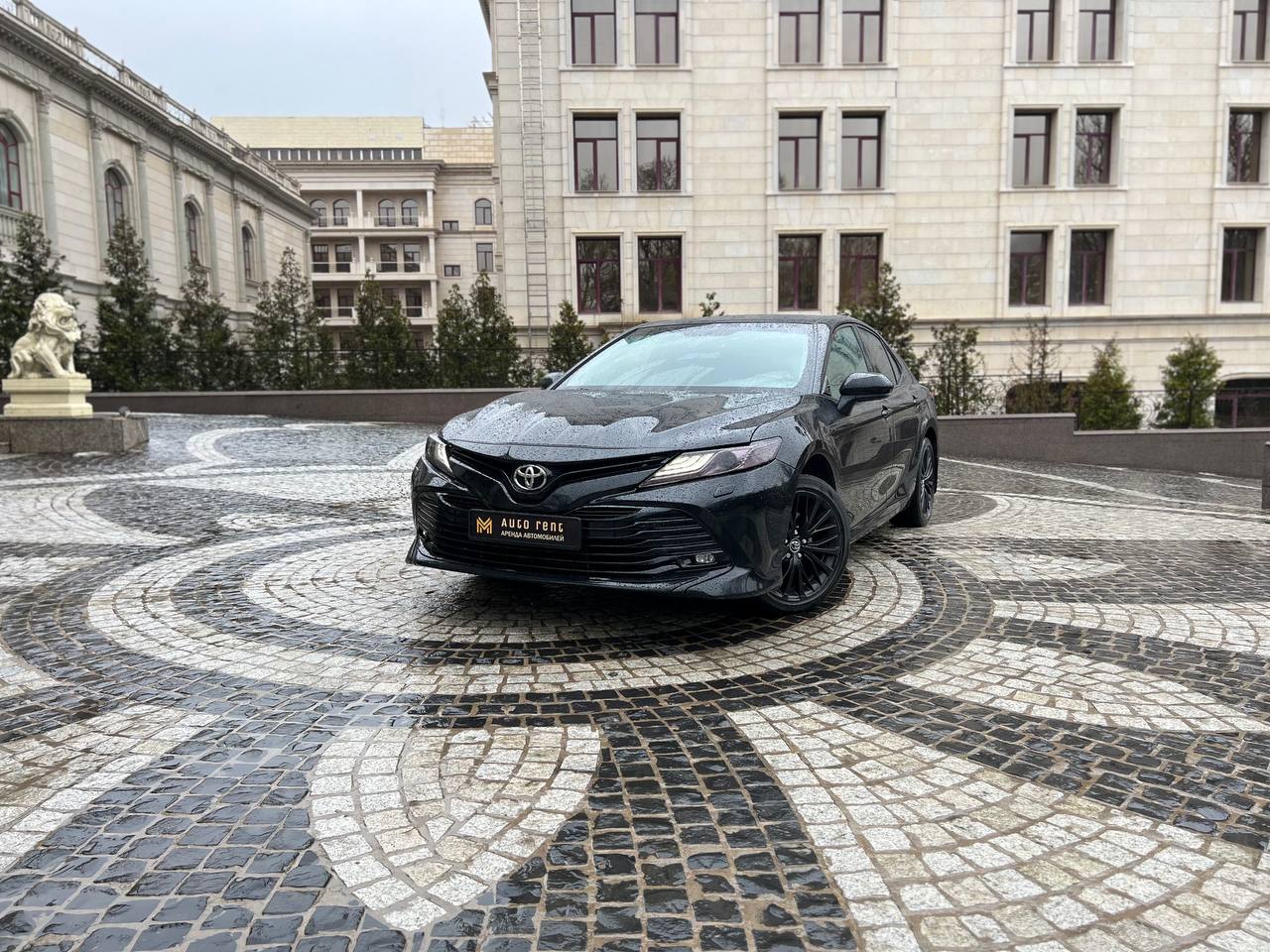 Toyota Camry 70 2019 — фото 3