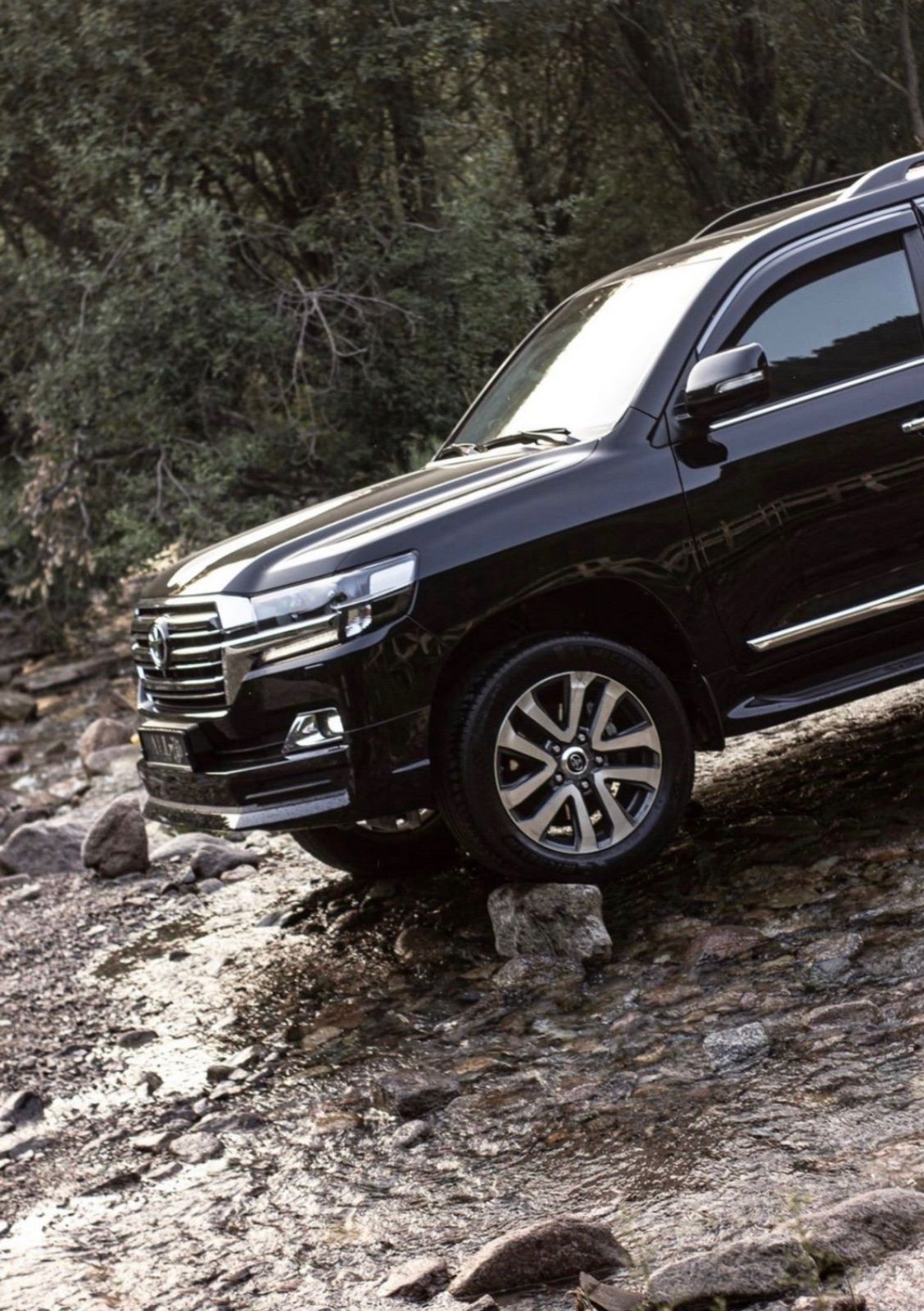 Toyota Land Cruiser 2019 — фото 3